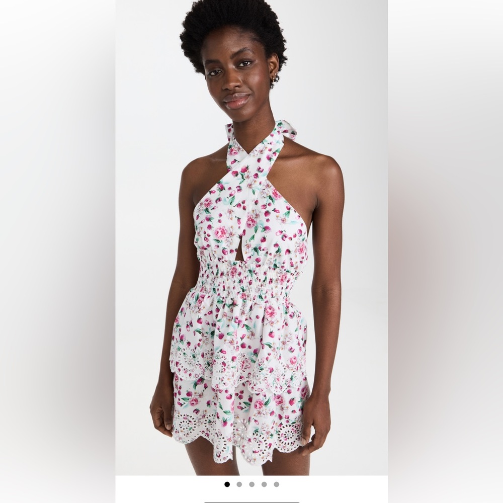BB Dakota mini dress